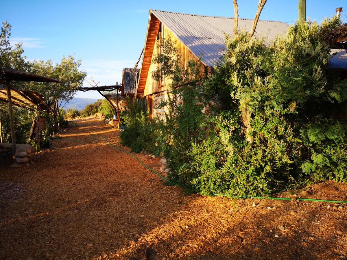 Amber Lagoon Backpackers Lodge Vleirivier Extérieur photo
